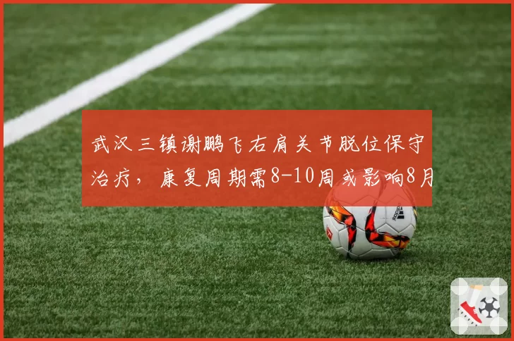 武汉三镇谢鹏飞右肩关节脱位保守治疗,康复周期需8-10周或影响8月赛程