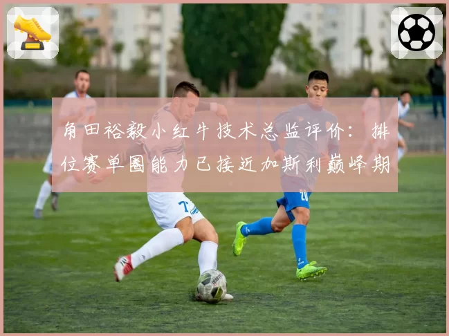 角田裕毅小红牛技术总监评价：排位赛单圈能力已接近加斯利巅峰期