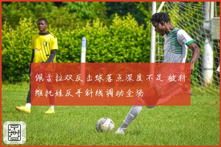 佩古拉双反击球落点深度不足 被科维托娃反手斜线调动全场