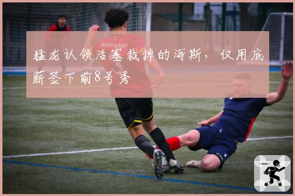 猛龙认领活塞裁掉的海斯,仅用底薪签下前8号秀